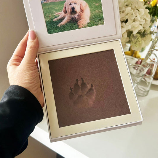 Oh So Precious Paw Pad Impression Keepsake