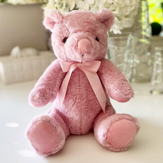 Record-A-Voice Pink Teddy Bear