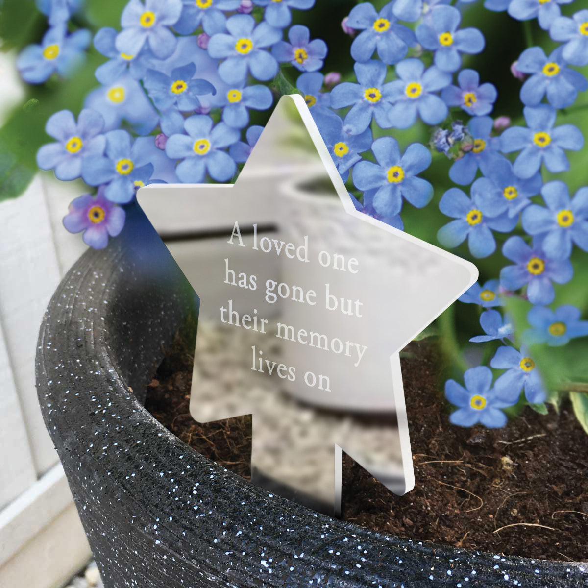 Angels, Wings & Feathers Memorial Star Plant Marker With Forget-Me-Not Seeds