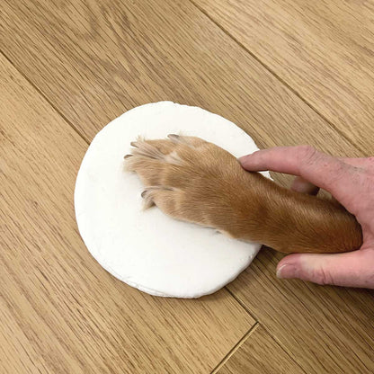 Clay Pet Paw Impression Moulding Kit