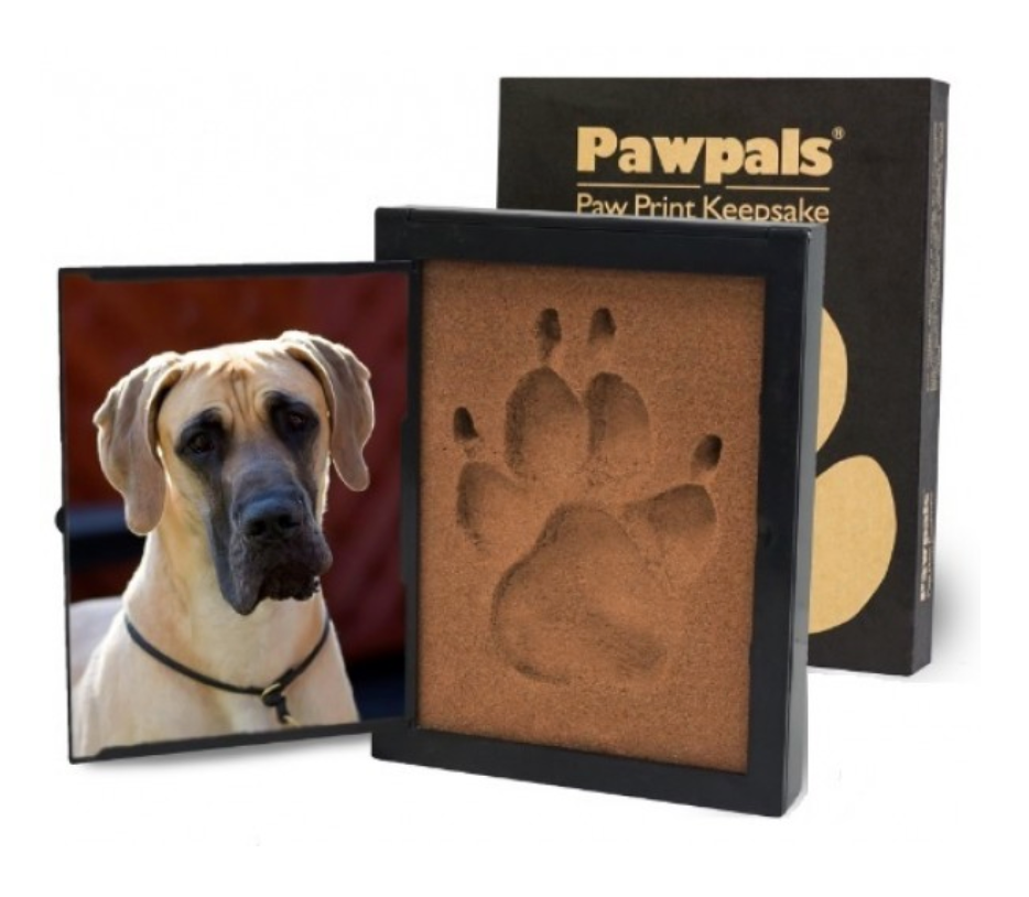 Pawprint Kit - Two Sizes