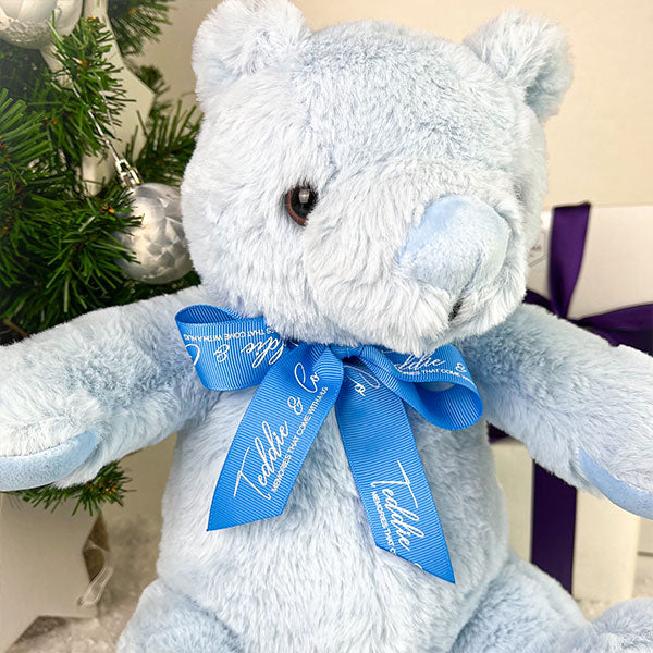 Record-A-Voice Blue Teddy Bear