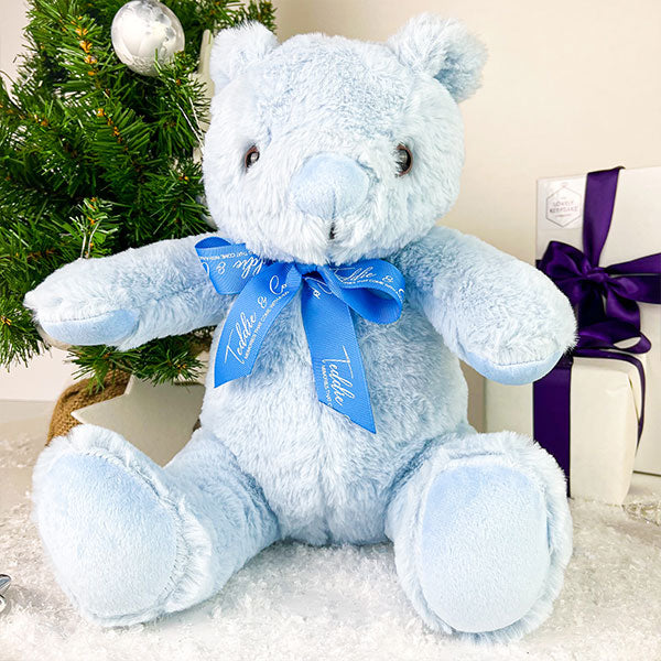 Record-A-Voice Blue Teddy Bear