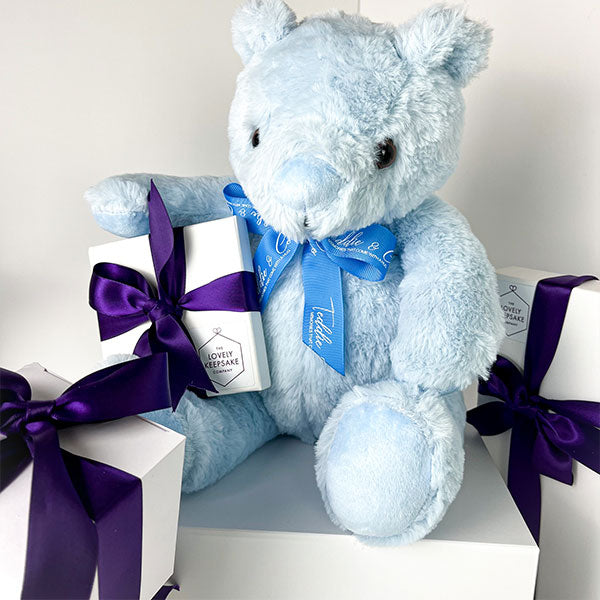 Record-A-Voice Blue Teddy Bear