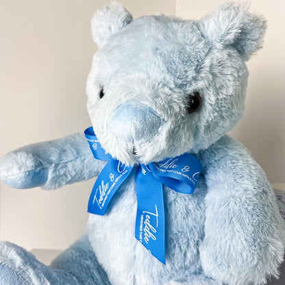 Record-A-Voice Blue Teddy Bear